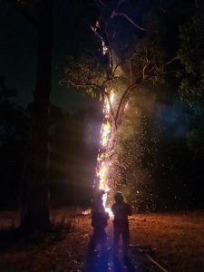 Lightning sparks upwards of 200 fires across Victoria