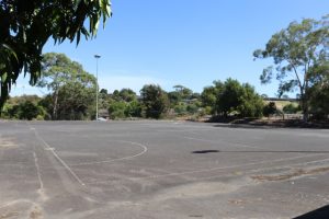 Dilapidated for a decade: McDermott Avenue Reserve returns to public discussion