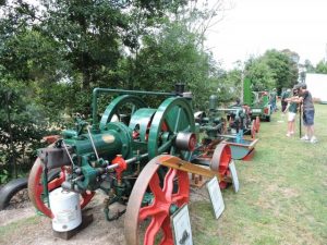 Flashback to the past at the Draught Horse and Yesteryear Festival