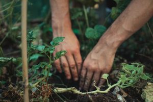 Permaculture Week 2025 will see people of the Yarra Ranges ‘working in harmony’