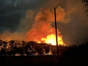 Not out of danger yet: Montrose bushfire controlled but still burning