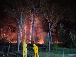 Recovery now at the forefront after Montrose bushfire