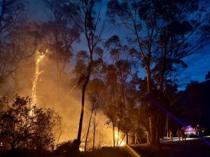 ‘Raining embers’: the frightening wake up call of the Montrose bushfire