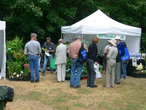 Plant Collectors’ Expo to Bloom in Ferny Creek