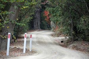 Residents raise petition for speed change at Bickleigh Vale Village