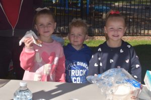 Casting vote at Coldstream Primary School
