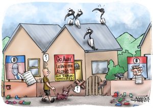 CARTOON: Voting overload