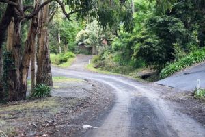 Yarra Ranges Council update Special Rate and Charge Scheme Policy