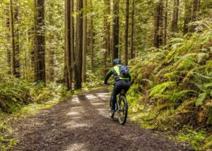 Council needs feedback from community for Paths and Trails Plan