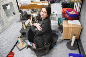 Conflicting views in regards to local animal welfare organisation