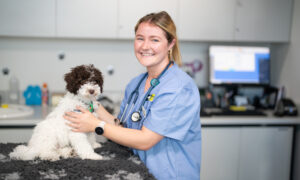 Box Hill Institute stuns with three finalists for the Victorian Training Awards