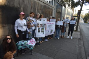 Justice served for Millie as Mark Martinaj convicted of animal cruelty