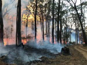 Fire, not just smoke and haze but a tool for resilience