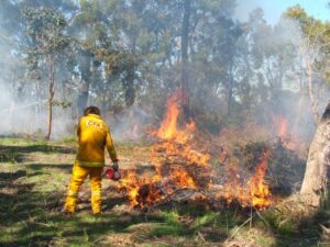 People urged to register burn offs this fire season