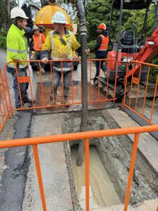Lilydale households ready to switch from septic to sewerage