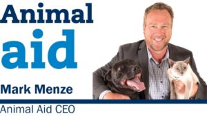 Why Foster Carers are vital to Animal Aid