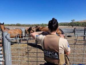 Cost of living hits pets in Yarra Ranges