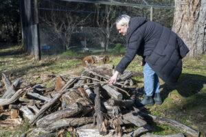 Montrose fire: A wake up call