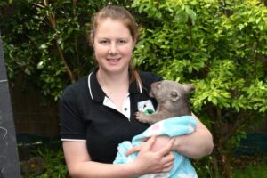 Wildlife carer echoes broader calls for Act rewrite