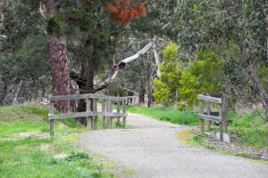 First Yarra Ranges Paths and Trails Plan approved