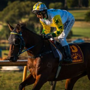 Experience country racing at its best in Healesville
