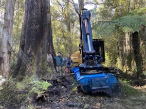 Streamline or avoid scrutiny: fire management strategic assessment underway