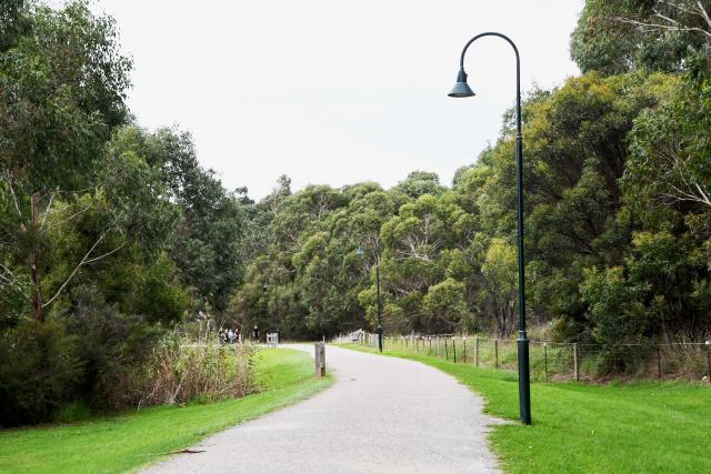 Join a Wellness Walk in Lilydale or Mt Evelyn